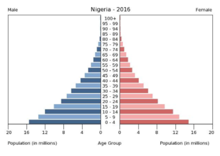 Nigeria population pyramid